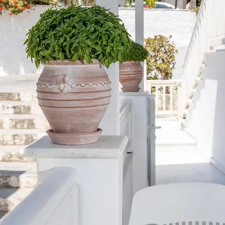 Old Town Vibes Chora Naxos * Naxos City